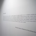 Architektura paměti/Gočárova galerie/Michal Kudláček