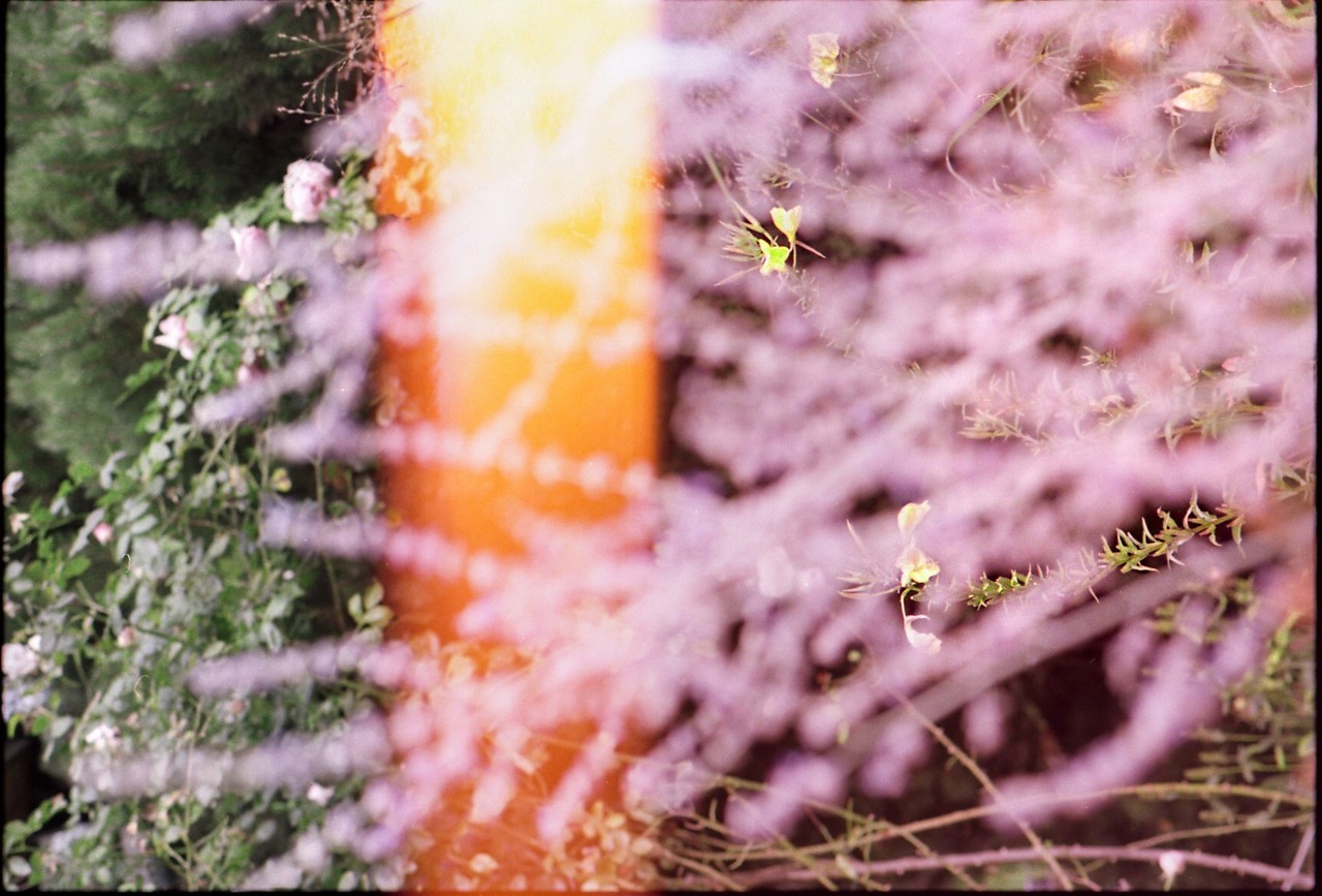 Hanuš a Zlata Lamrovi: Jsme v zahradě